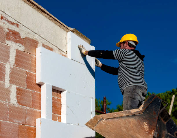 Best Eco-Friendly Insulation in Princeton, MN