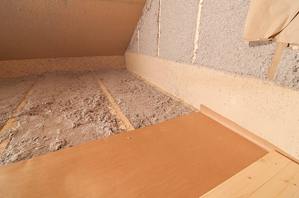Best Specialized Insulation Services in Princeton, MN