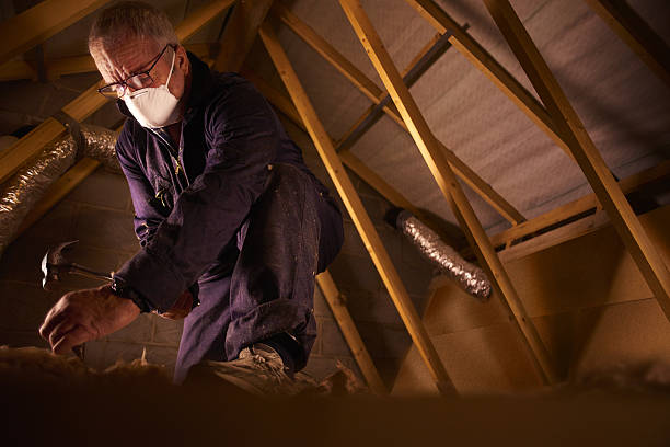 Best Residential Insulation in Princeton, MN